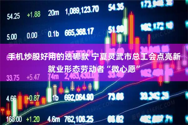 手机炒股好用的选哪款 宁夏灵武市总工会点亮新就业形态劳动者“微心愿”