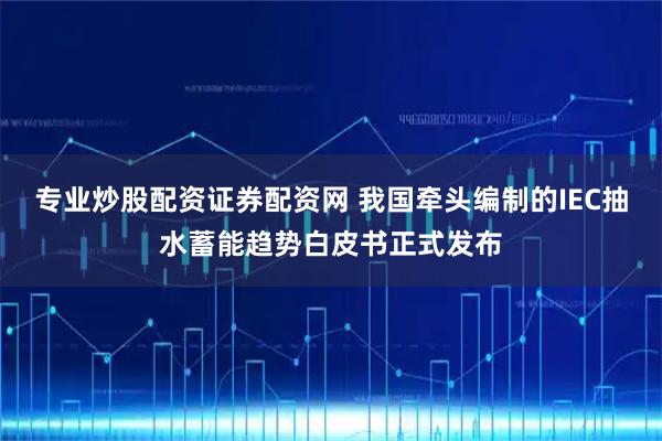 专业炒股配资证券配资网 我国牵头编制的IEC抽水蓄能趋势白皮书正式发布